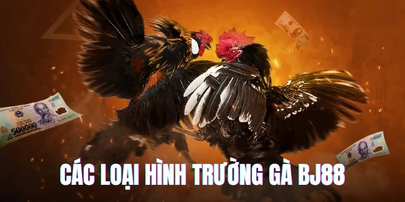 Loại hình giải trí thú vị tại BJ88 trường gà online