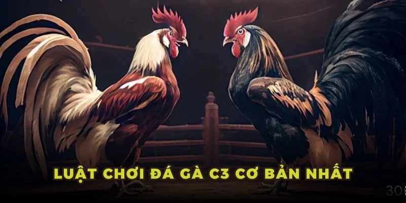 Luật chơi đá gà C3 cơ bản nhất