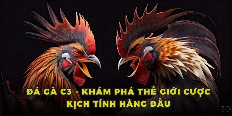 Đá Gà C3 - Khám Phá Thế Giới Cược Kịch Tính Hàng Đầu