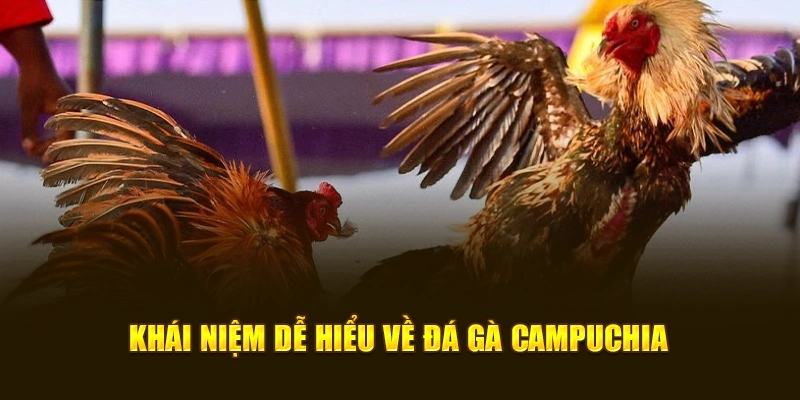 Khái niệm dễ hiểu về đá gà campuchia