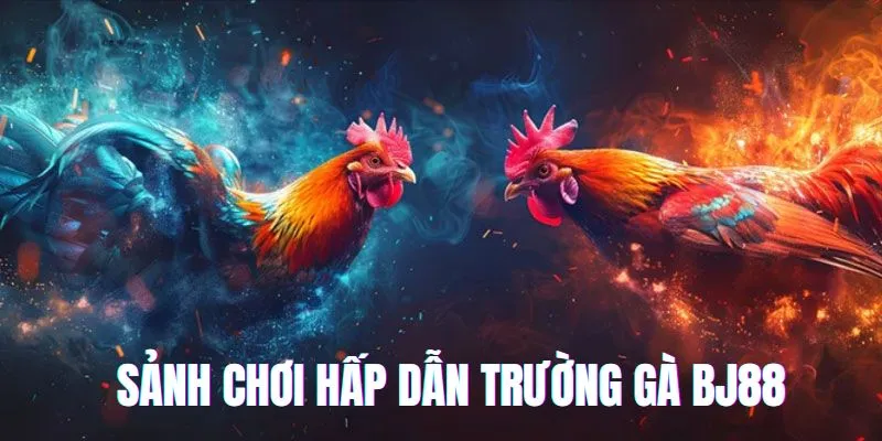 Sảnh giải trí hấp dẫn số 1 trường gà trực tuyến BJ88