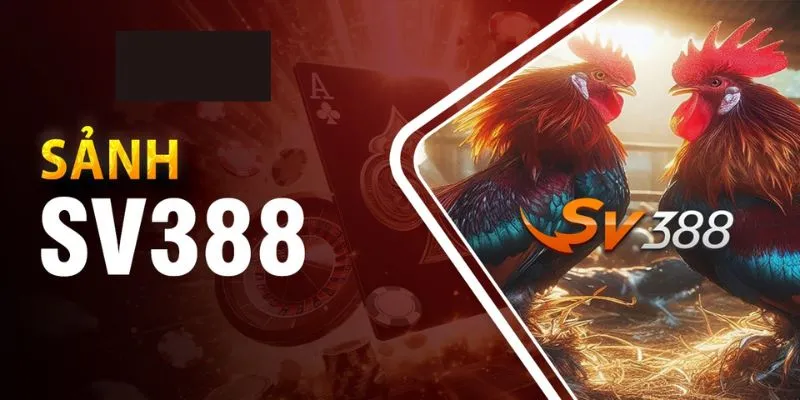 Sảnh SV388 - Thiên Đường Cá Cược Hot Nhất Hiện Nay
