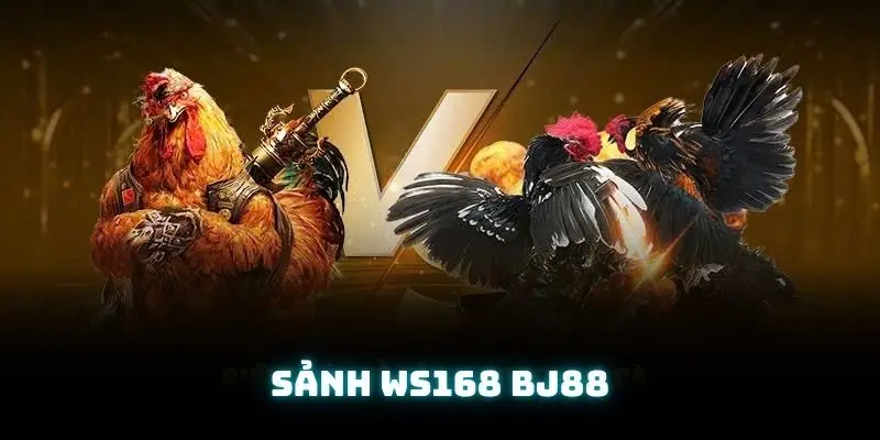 Sảnh ws168 - Cá cược chọi gà đẳng cấp tại nhà cái BJ88