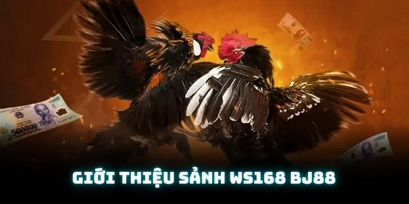 Tìm hiểu một vài thông tin đặc trưng về sảnh ws168 ở nhà cái BJ88