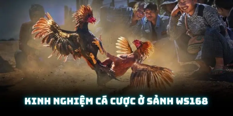Chia sẻ một vài kinh nghiệm phù hợp để khách hàng giành được chiến thắng