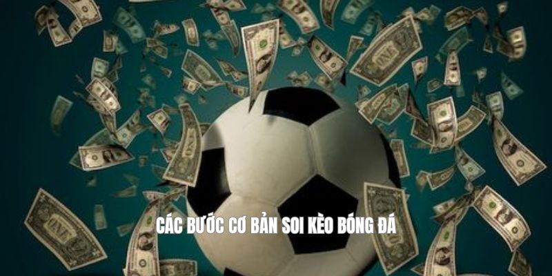 Các bước cơ bản soi kèo bóng đá