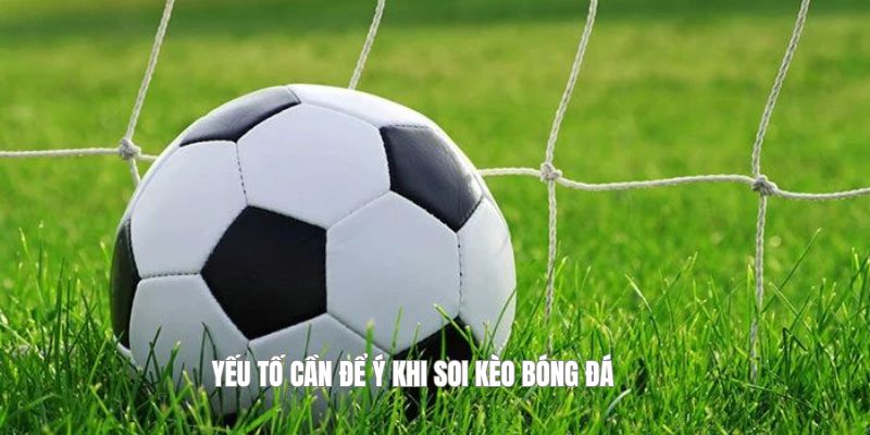 Yếu tố cần để ý khi soi kèo bóng đá