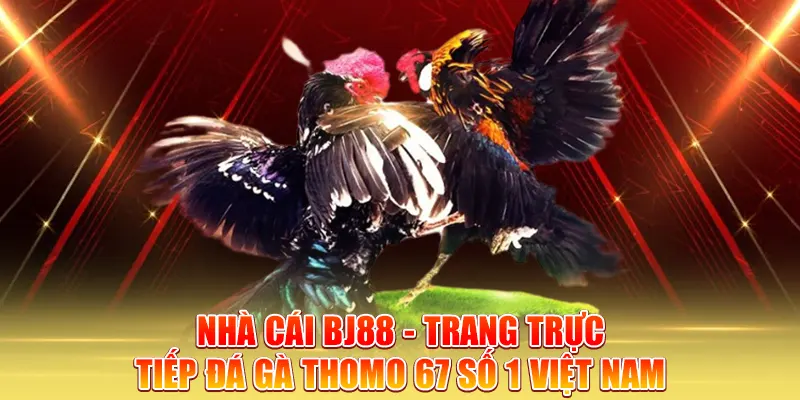 nhà cái BJ88 - trang trực tiếp đá gà thomo 67